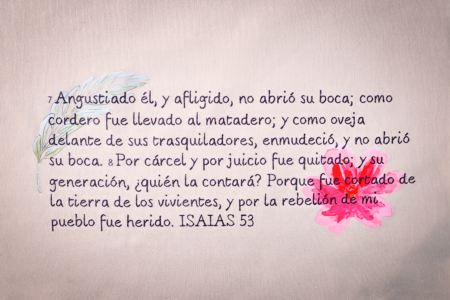 Camiseta el cordero de Dios